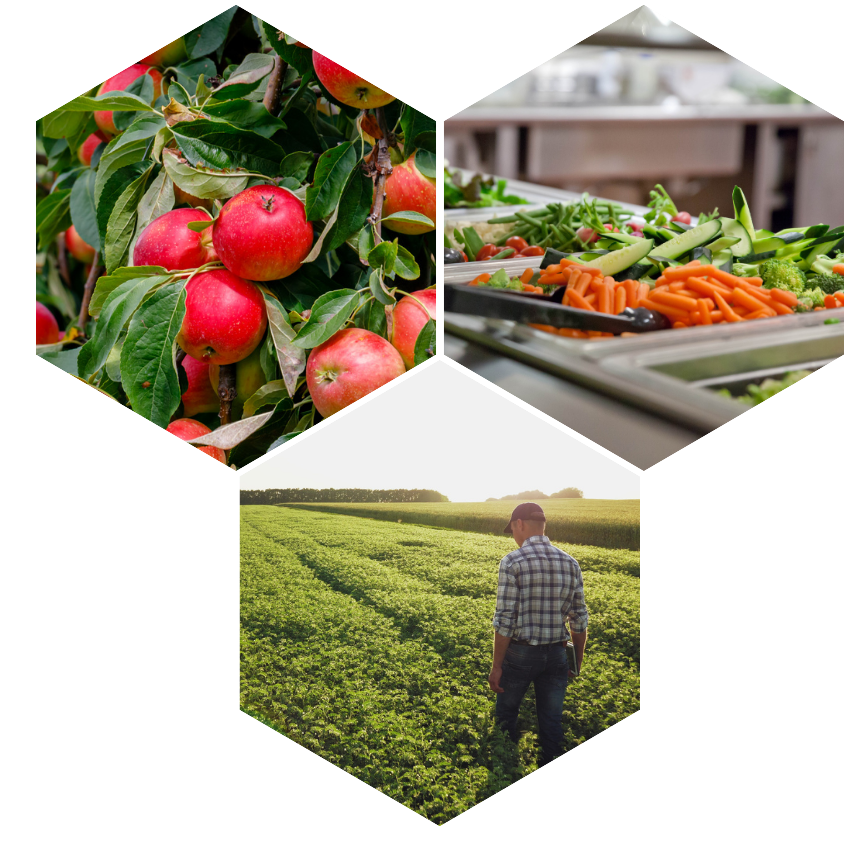 Hexagon image with three photos: apples, a salad bar, and a farmer in a field