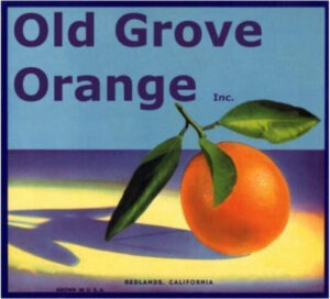 Logo for Old Grove Orange