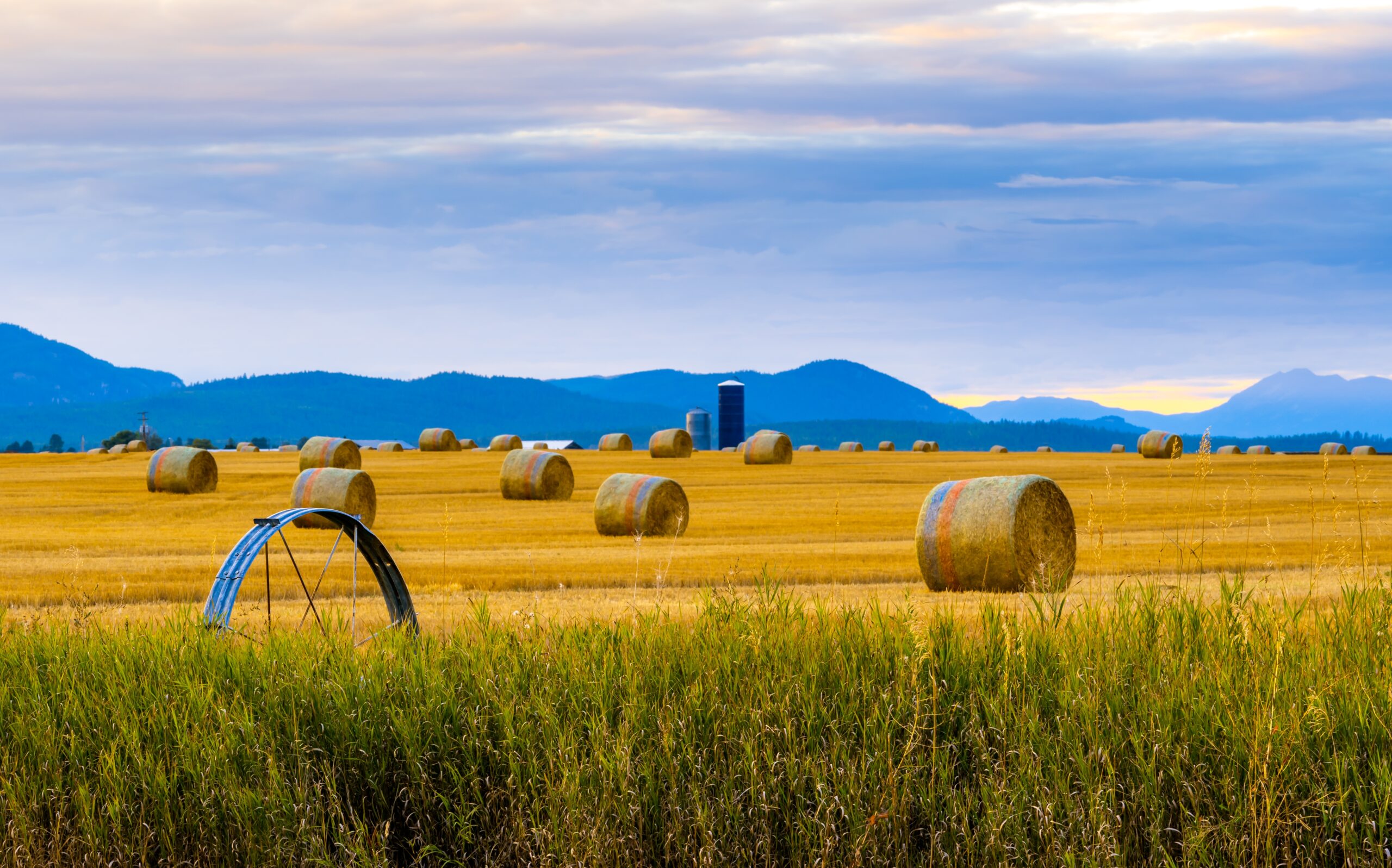 Field of hay bales in front of mountains
