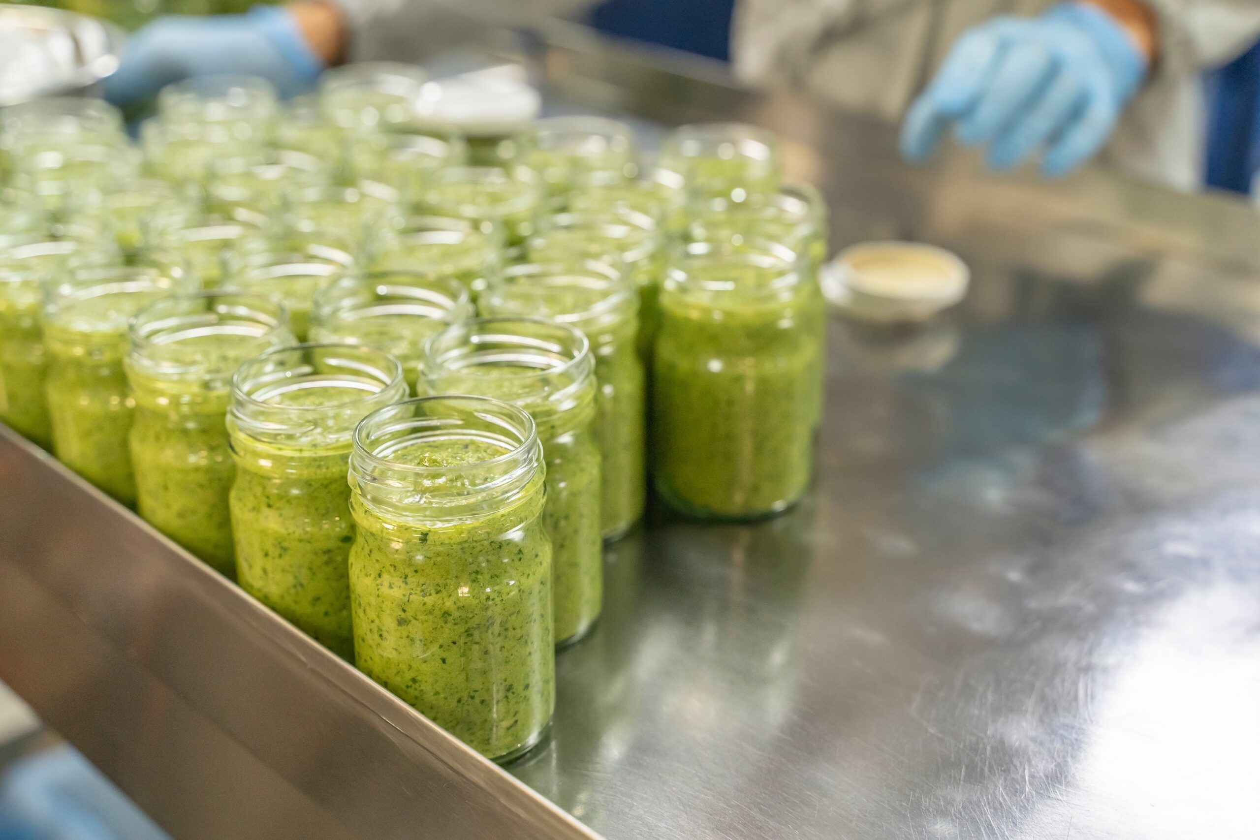 Food processing plant with pesto in glass jars