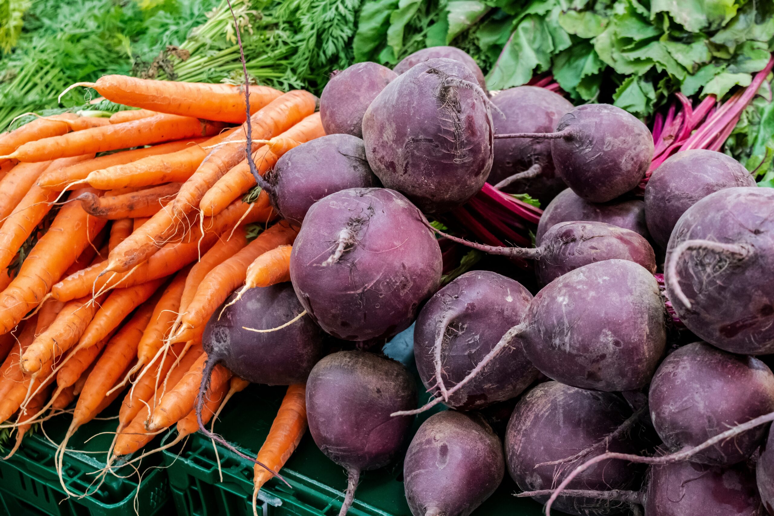 Bundles of carrots and beets