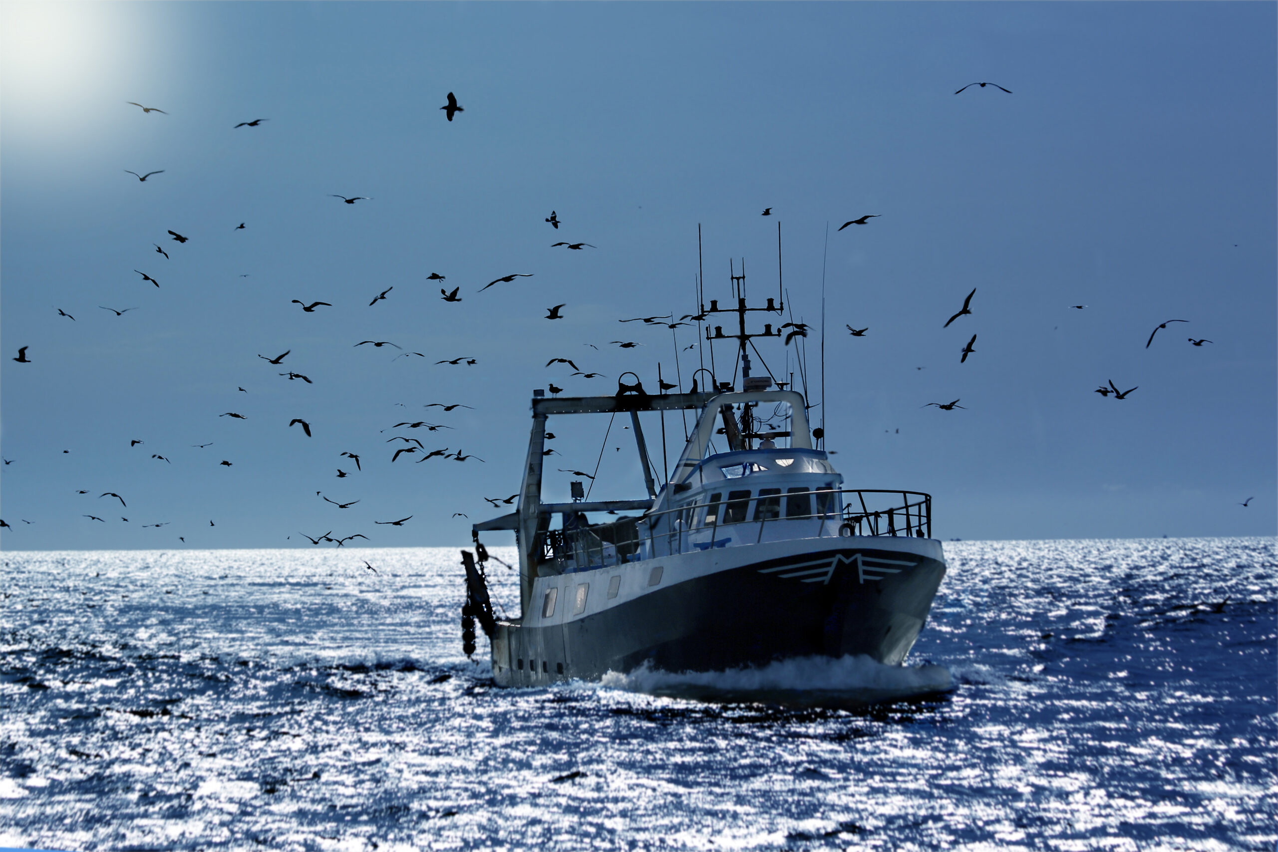 Fishing boat in water with birds circling in the air above
